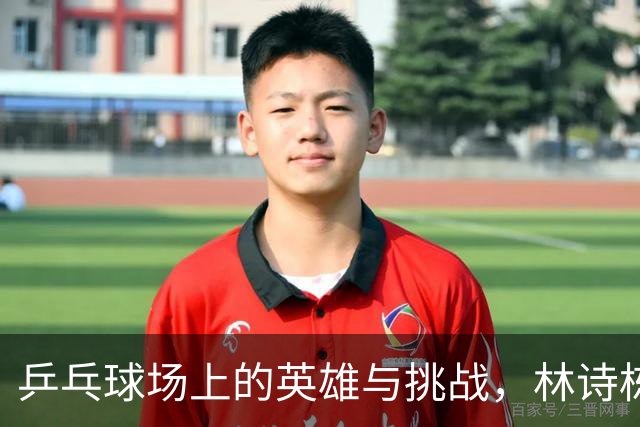 乒乓球场上的英雄与挑战，林诗栋的逆袭之路